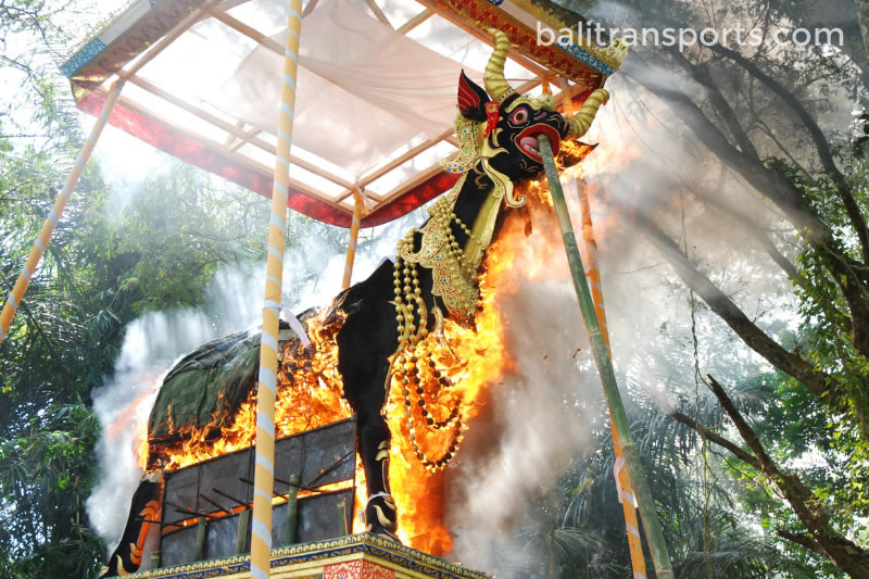 Death and the cremation rites are important to the Balinese