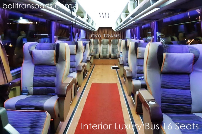Interior luxury bus 15 seats